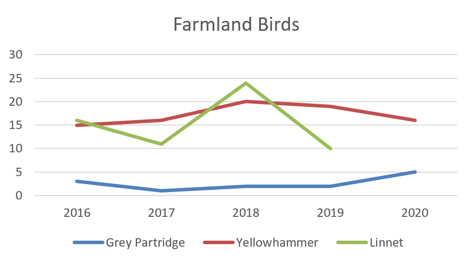 Graph showing Isle of Wight AONB Farmland Birds 2016-2020, including Grey Partridge, Yellowhammer and Linnet