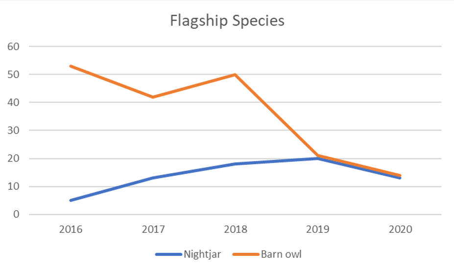 Flagship Bird Species in Isle of Wight AONB 2016-2020 including Nightjar and Barn owl