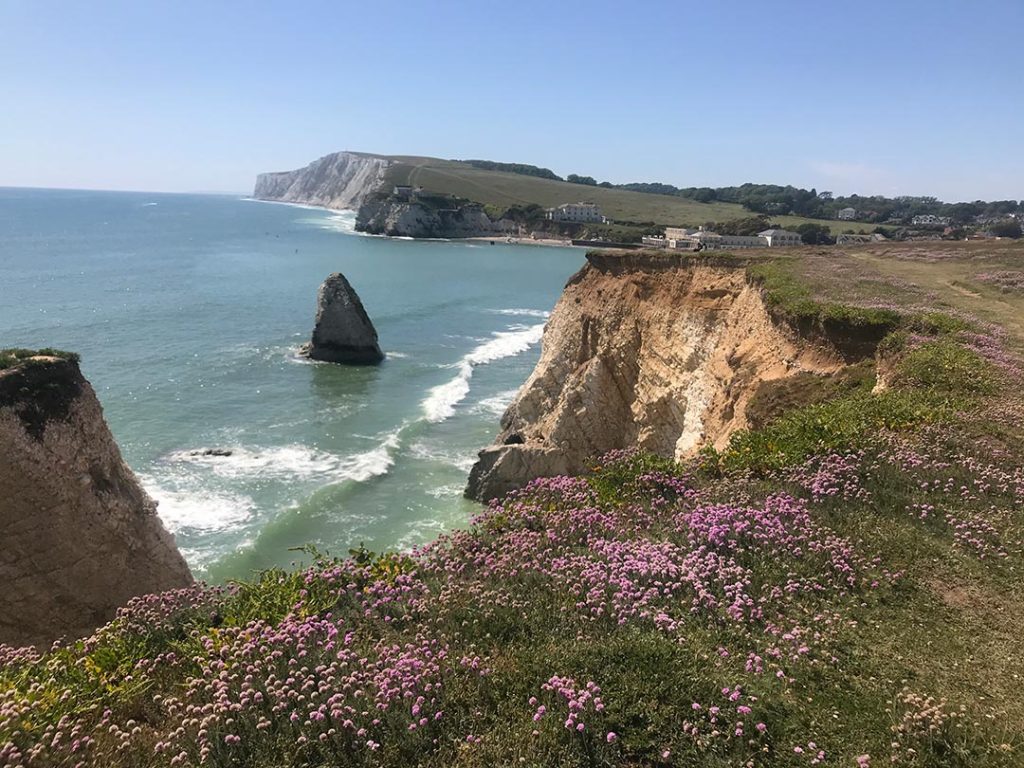 Photo of a sunny coastal scene, white chalk cliffs, green grass, wild flowers in the foreground
