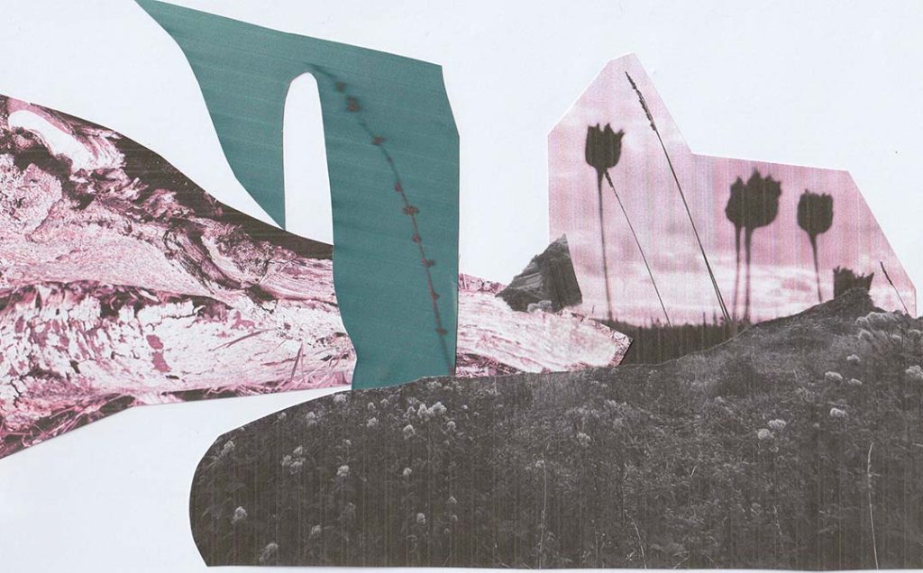 Layers of photocopied cut out shapes showing flowers, and landscape elements