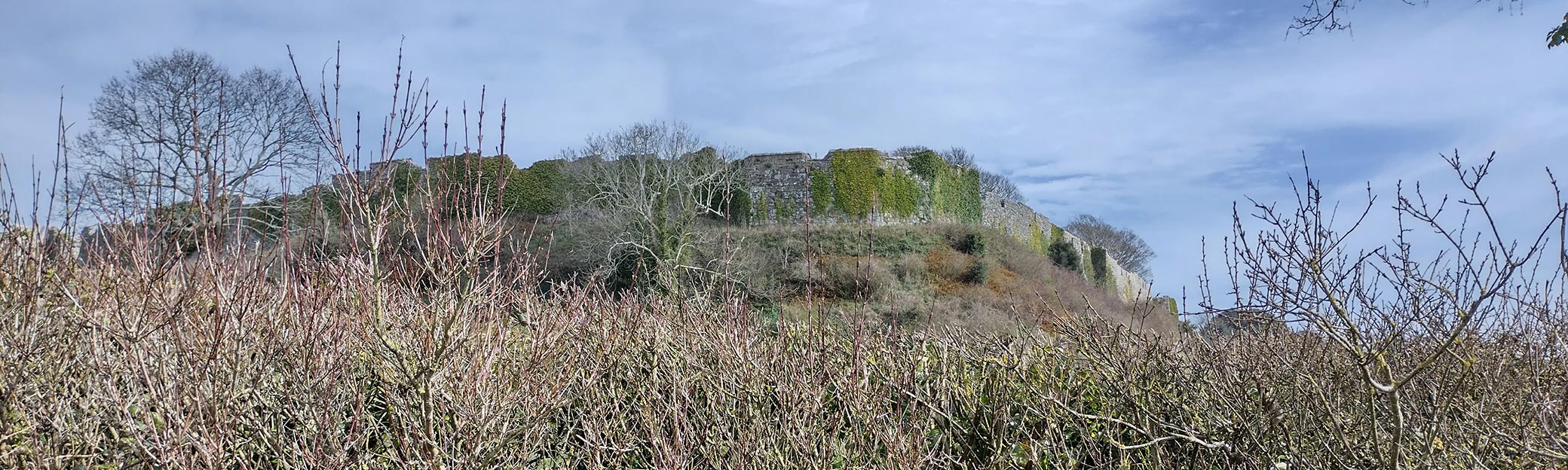 Carisbrooke Castle under a muted sky. Multiple shades of green ivy hanging over the castle wall