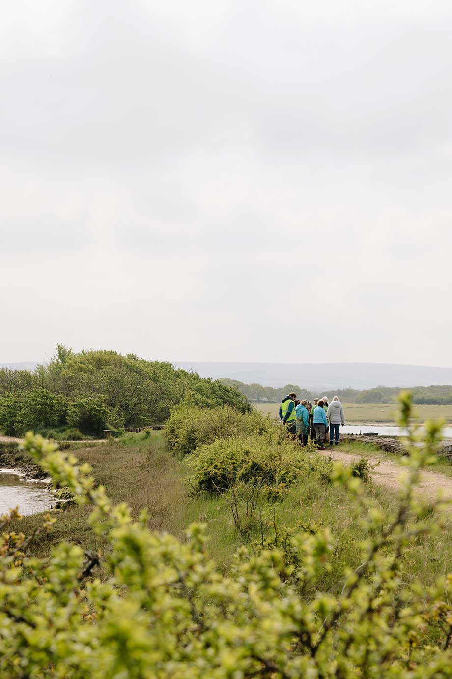 Photo of walkers in the distance with bright green hedging and grass with a large muted pale grey sky