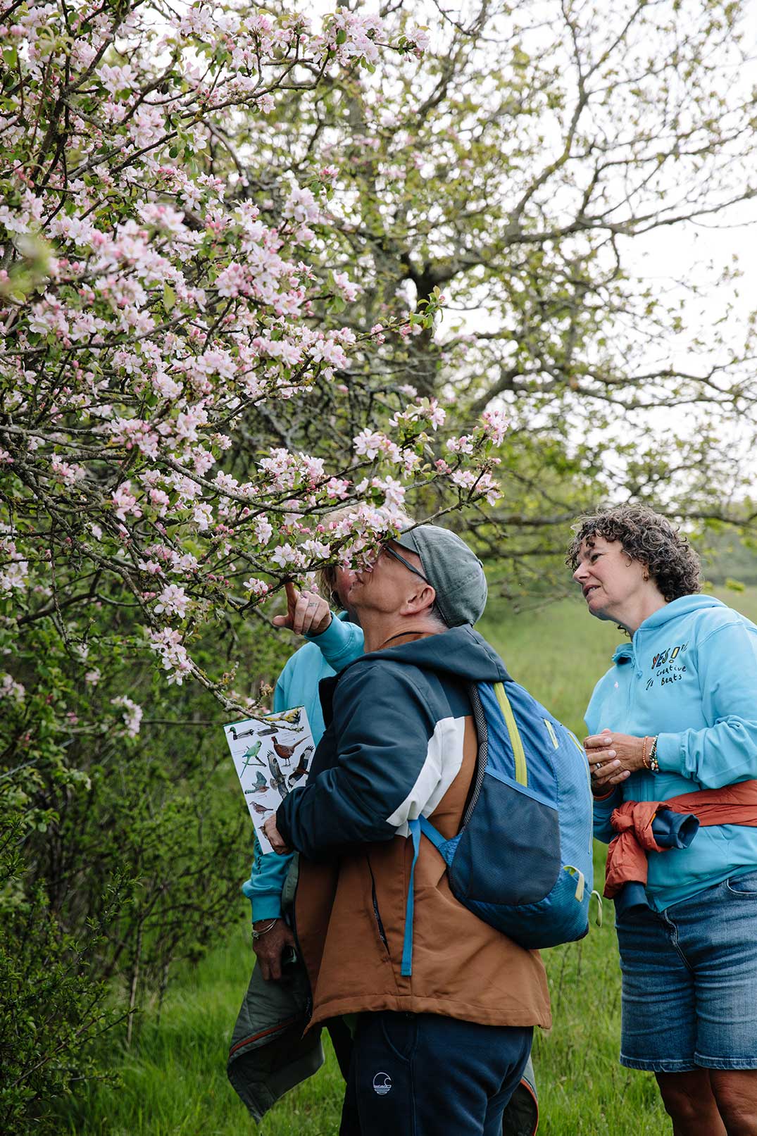 Three walkers in rural area pointing at and smelling blossom on tree surrounded by green grass