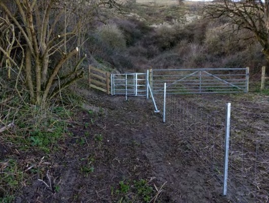 Photo showing fence and gate into new footpath in Chillerton