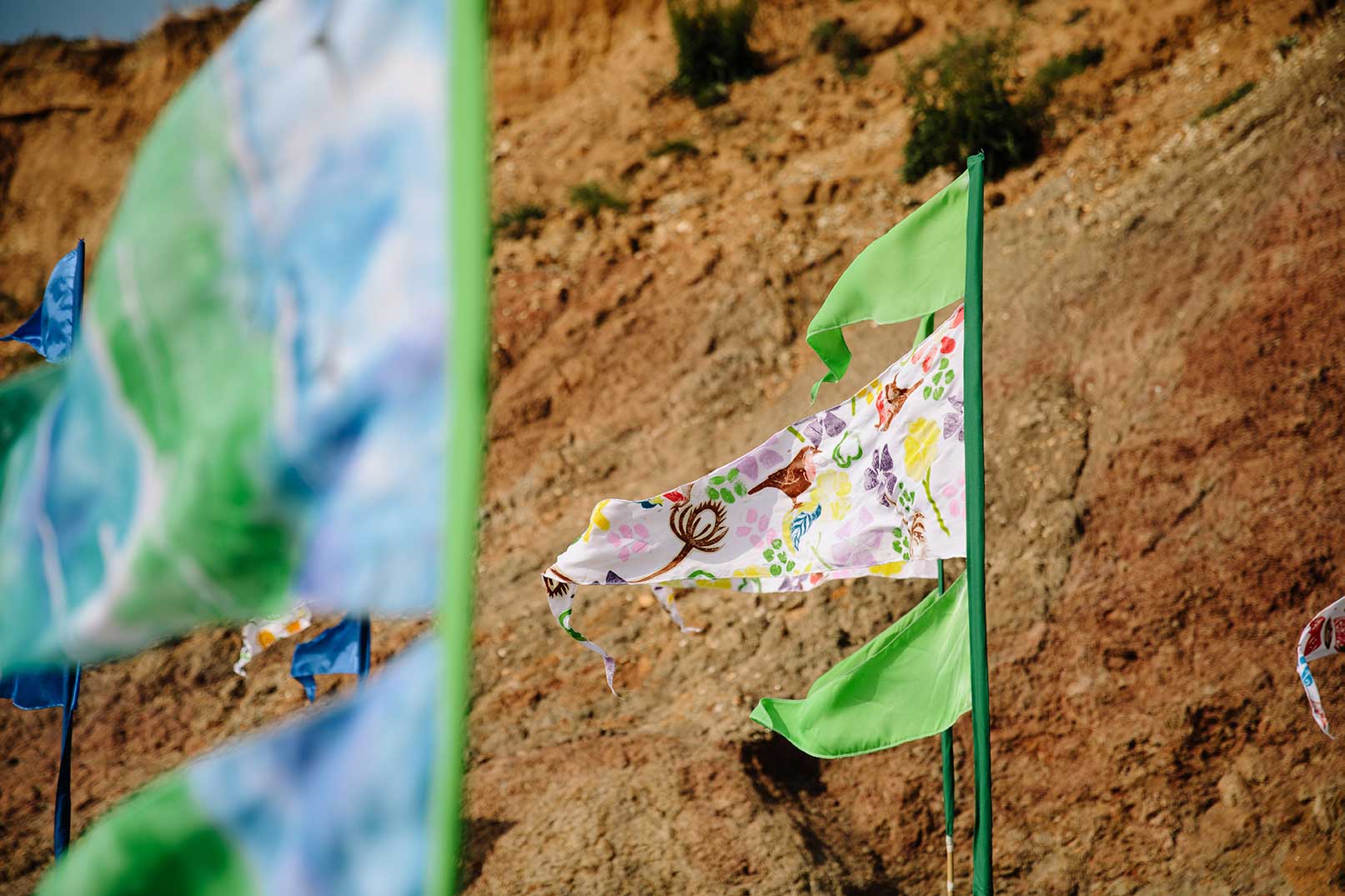 Hand painted pennant flags from nature with birds and flowers