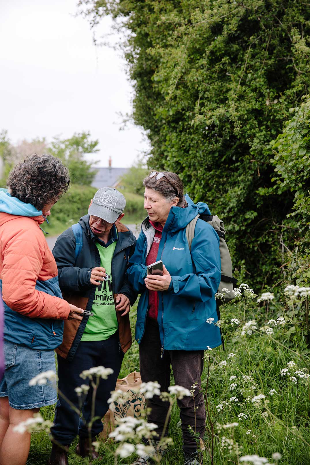 Nature expert group member and carer trying to identify plant, hedging behind and long grass in front