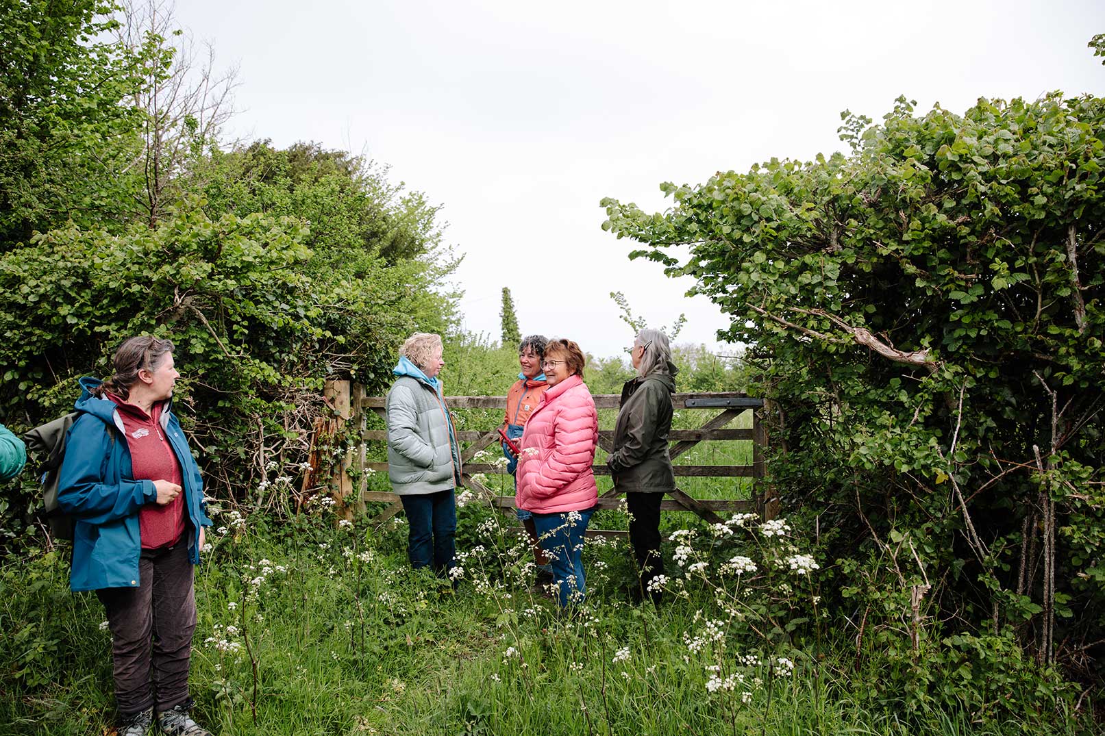 Walkers stood talking near gate in long grass and wildflowers