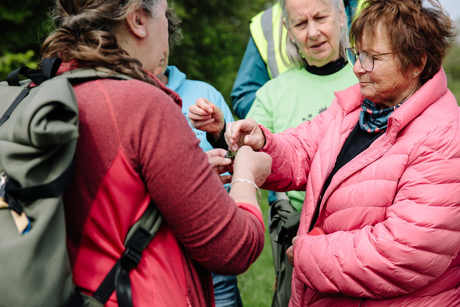 Close up of nature expert looking at leaves with group member on a walk in springtime