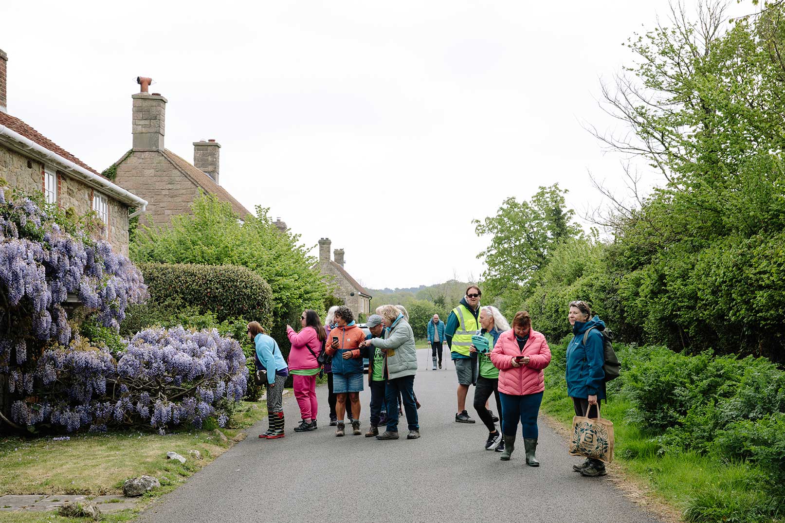 Group of walk in Newtown village stopping to take photos and trying to identify plants