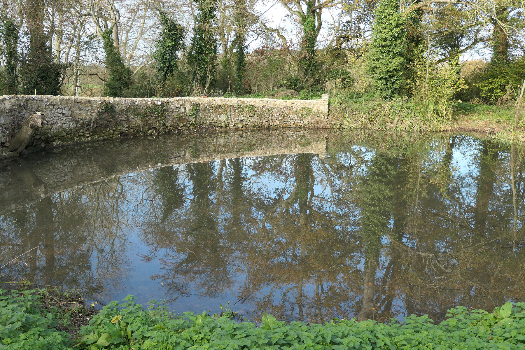 Cleared pond with old stone wall running along the edge, trees above reflecting on the surface of the water