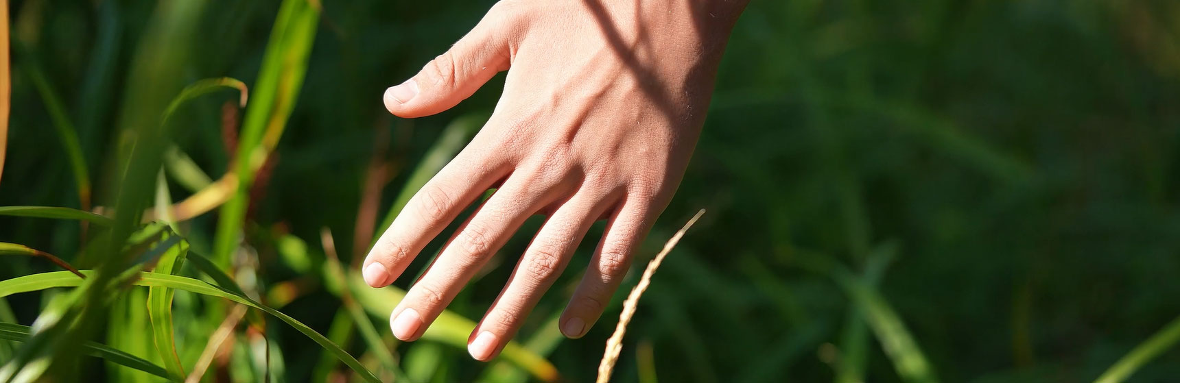 Close up photo of a hand in the sunlight against a blurred background of green grass