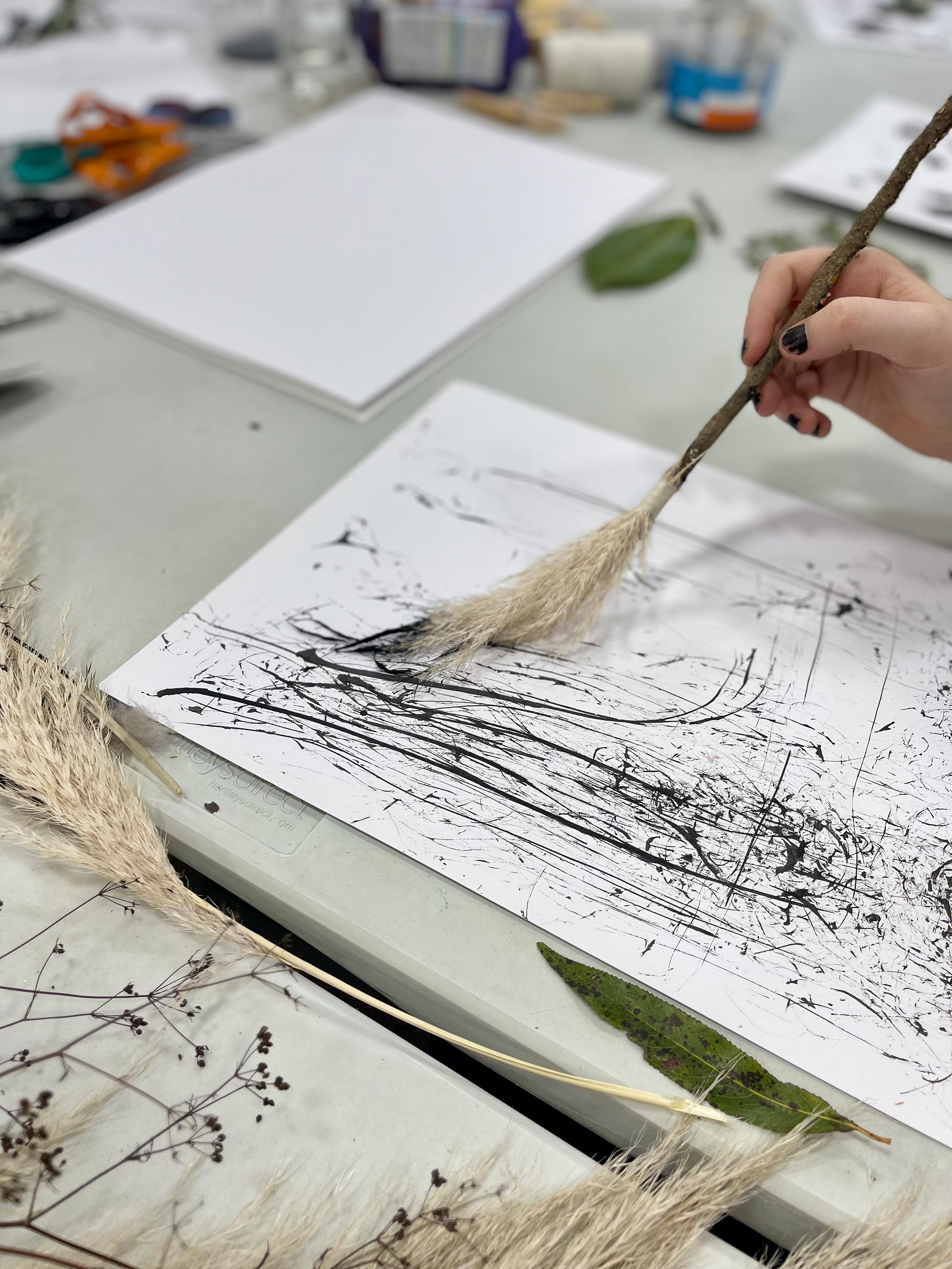 Photo of grasses used as a paint brush with black paint on white paper