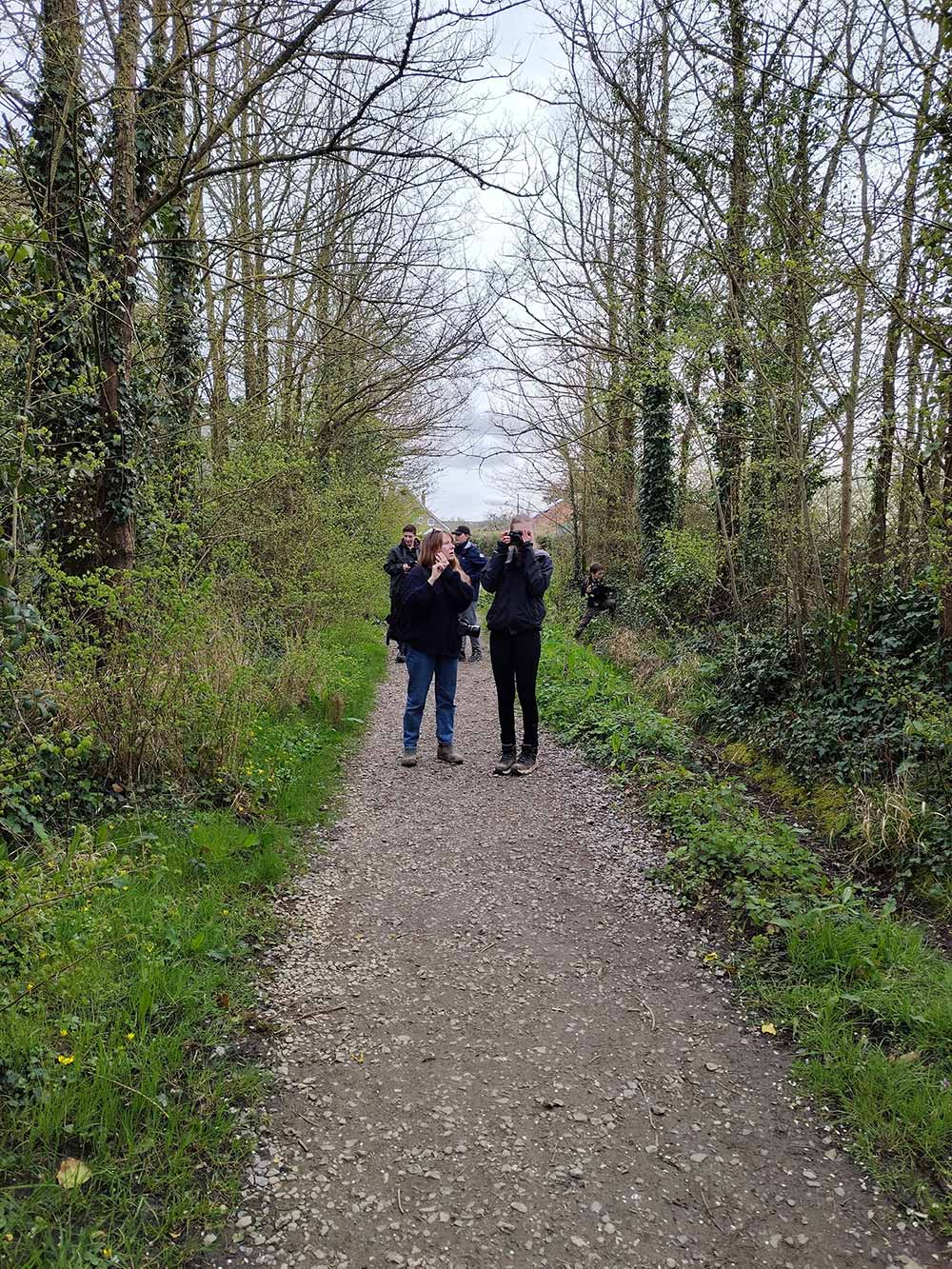 Photo of people on a gravel path in a woodland taking photos