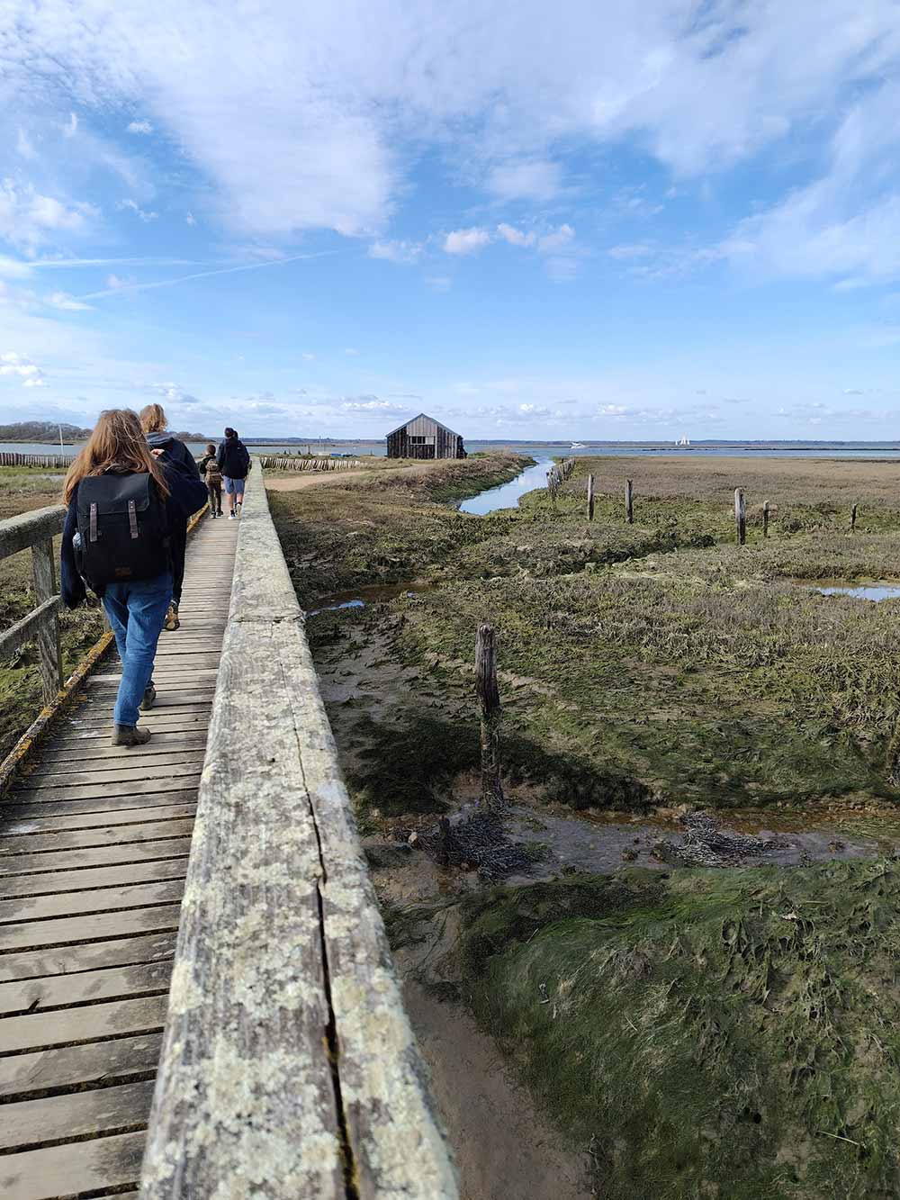 Photo of people on a wooden bridge across marshland towards Newtown Creek