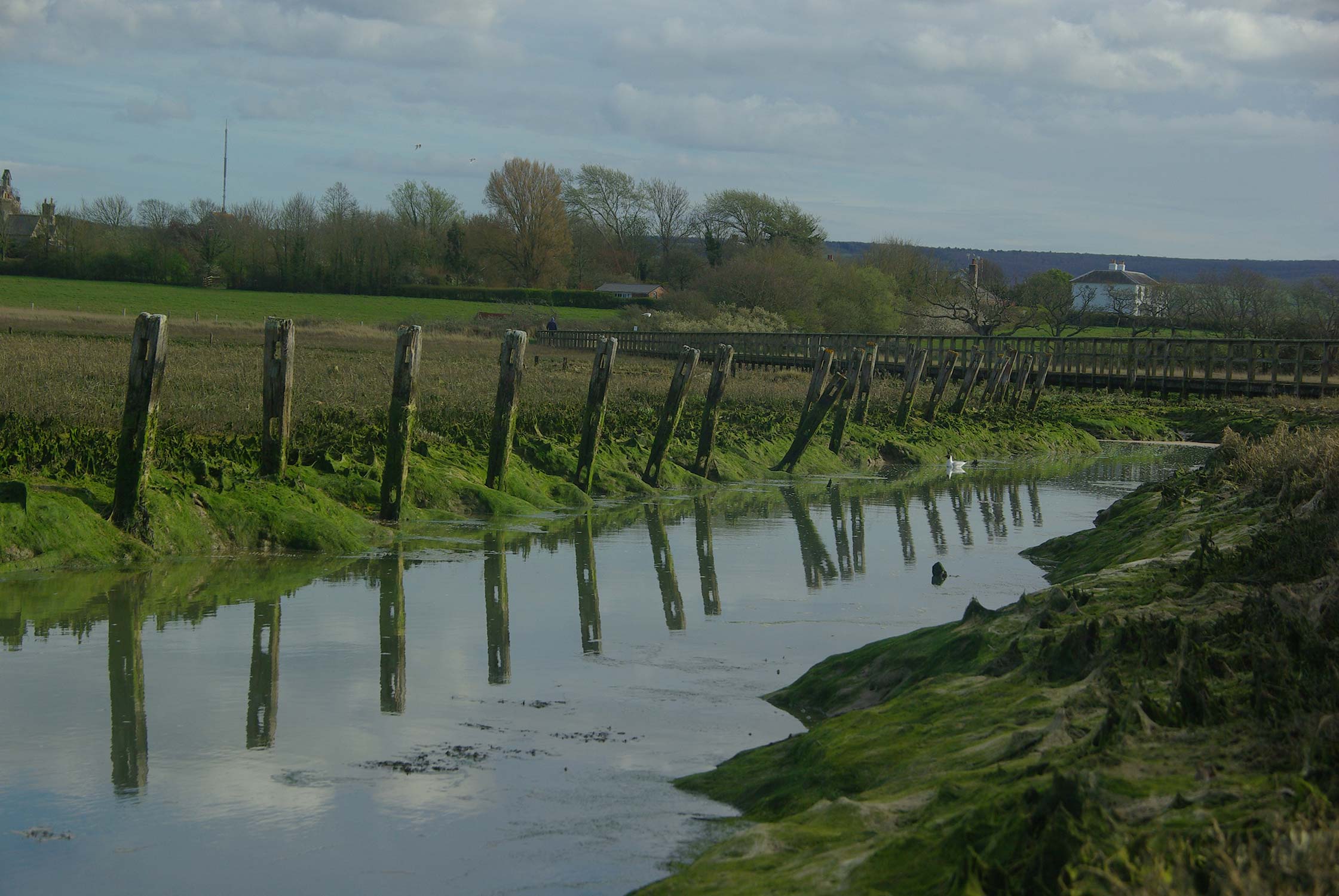 Newtown Creek at low tide with posts reflecting in the water
