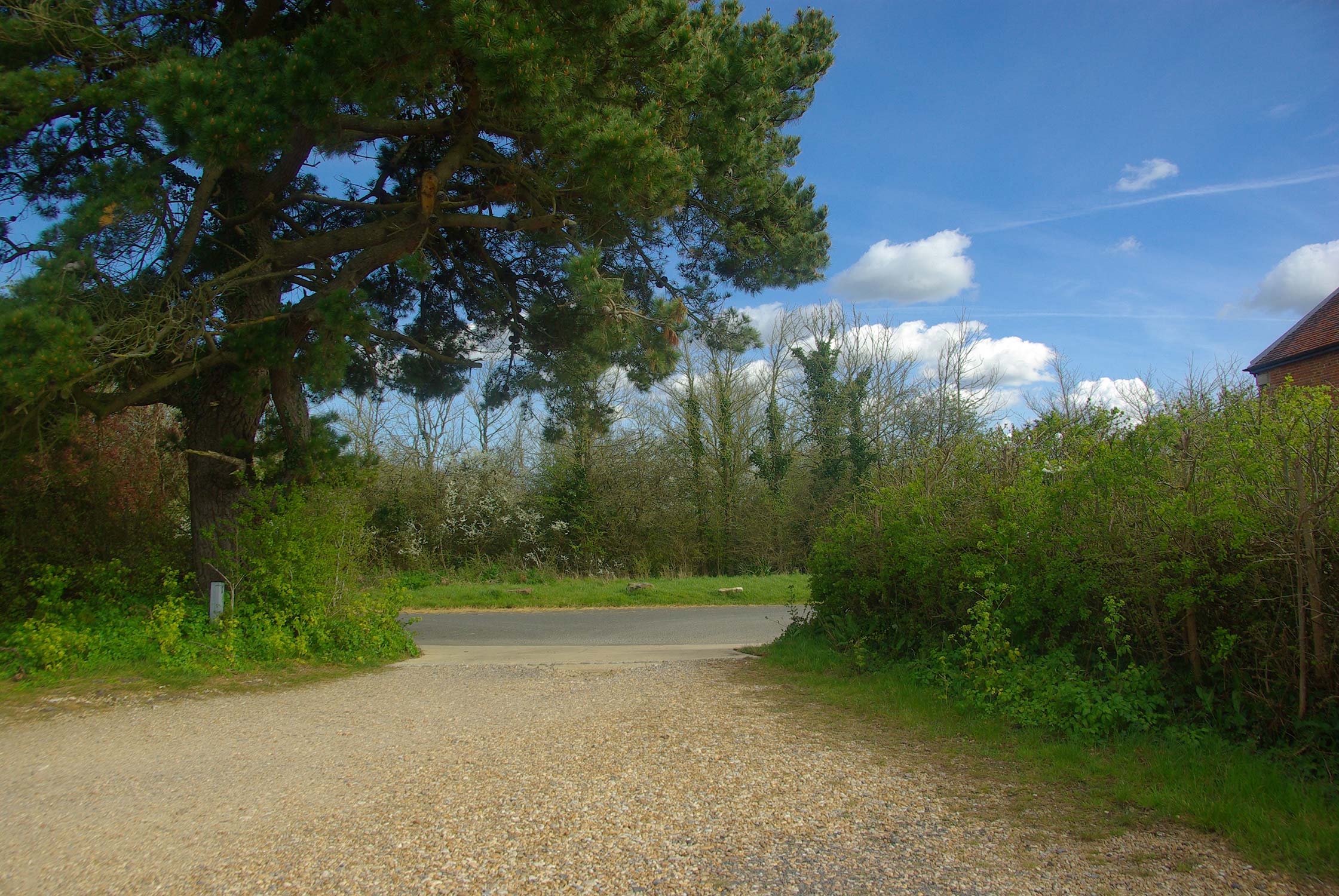 Gravel entrance with large tree, hedge and blue sky in the background